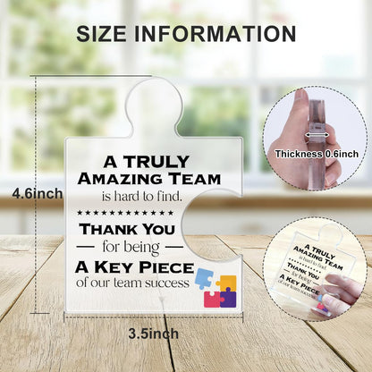 Team Thank You Appreciation Gifts for Coworkers Colleagues Employees, Teamwork Gift Best Teams Ever Gifts a Truly Amazing Team Is Hard to Find Acrylic Puzzle Piece Plaque Office Decor
