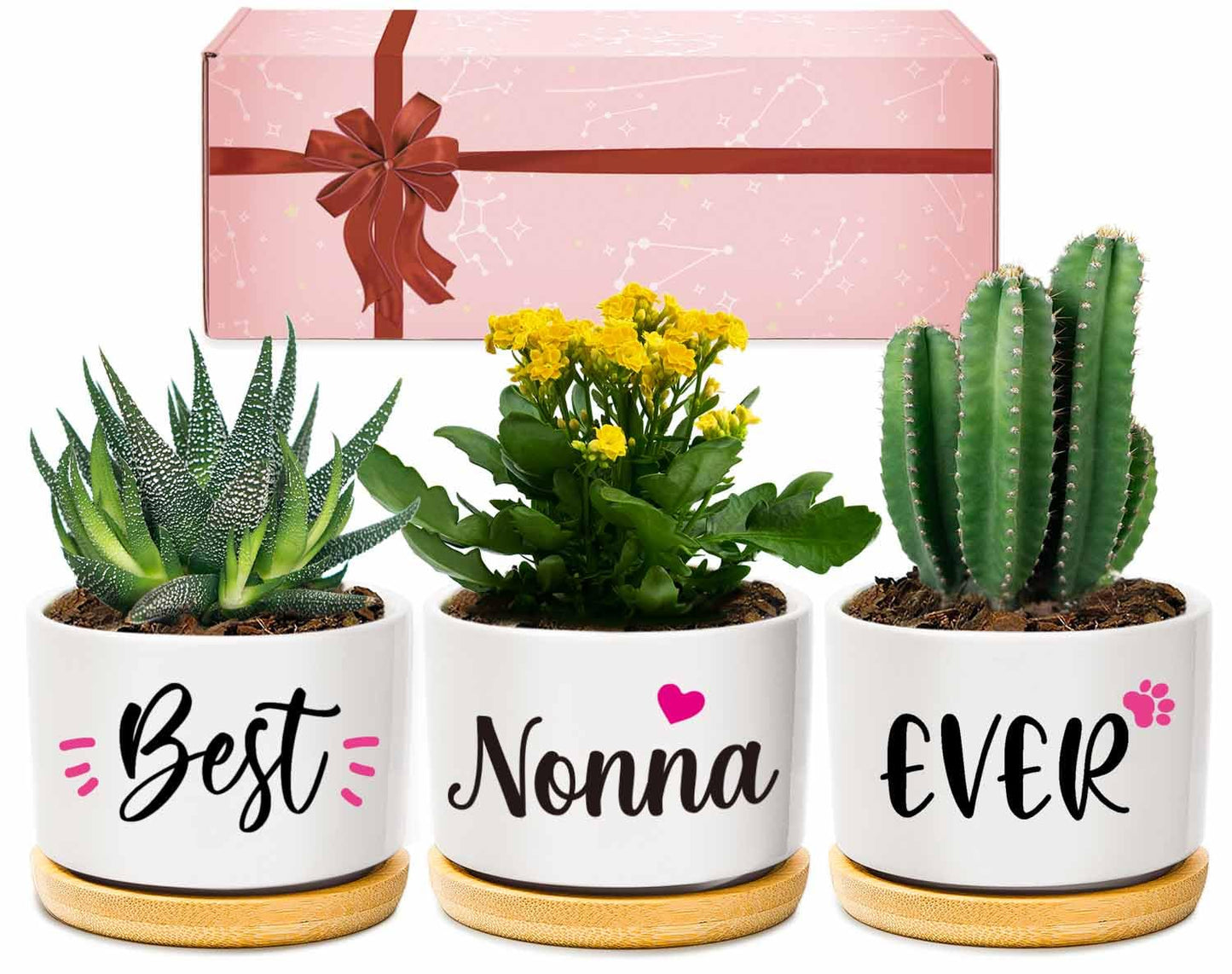 AceThrills Nonna Gifts for Birthday, Nonna for Nonnas from Grandkids, Unique Present on Thanksgiving Christmas - 3 Pcs 3.15" Succulent Pots with Bamboo Tray