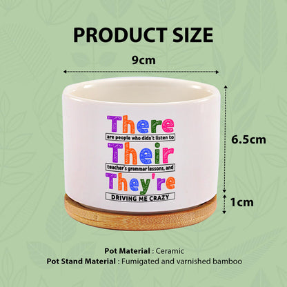 There Their They're Grammar English Teacher Gifts Editors Writers Teacher Appreciation Day Gifts Ceramic Succulent Plant Pot with Bamboo Tray Round Home Office Decor 3.5 Inch White (No Plants)