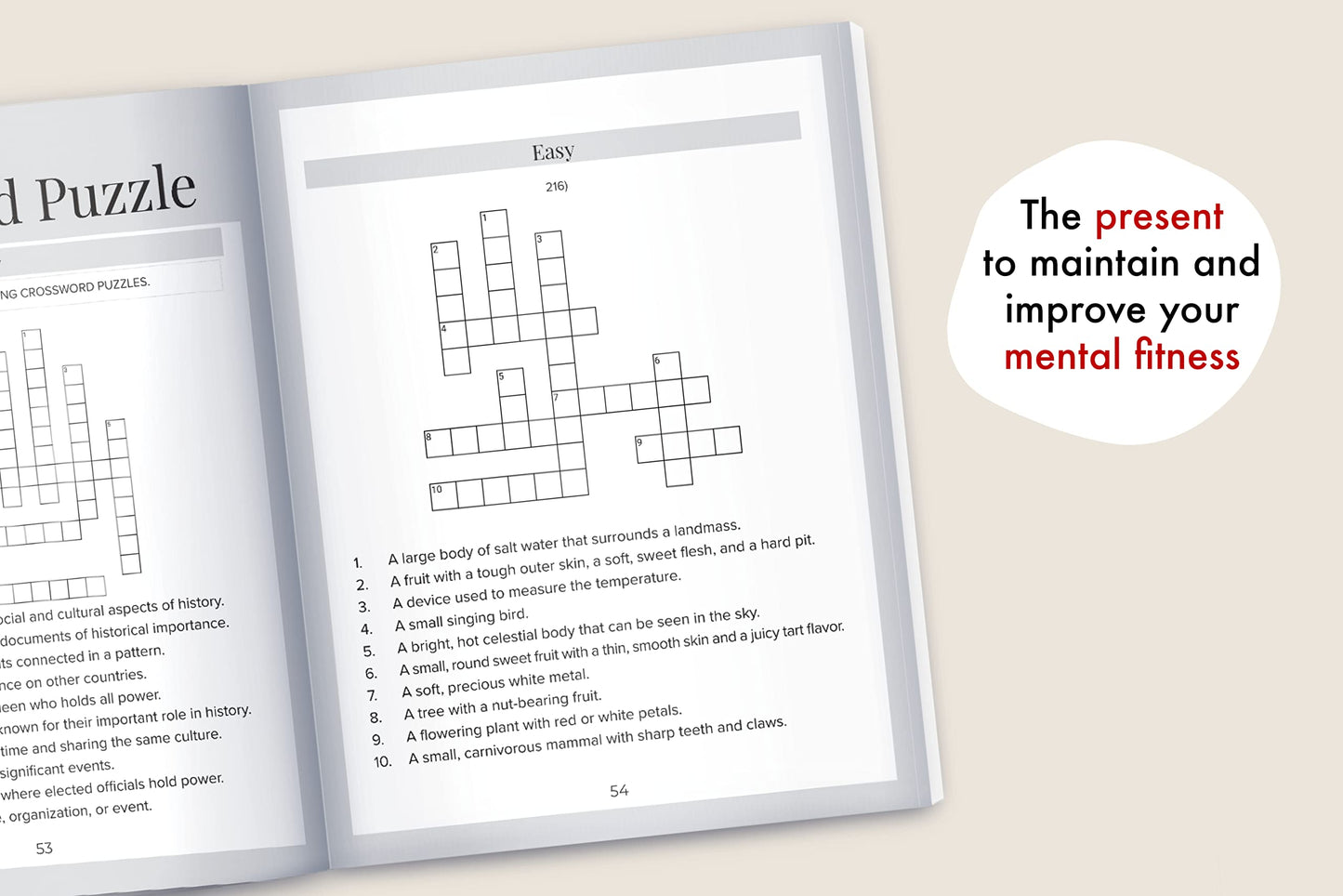 Memory Games for Seniors: A Large Print XXL Puzzle Activity Book with 501 Exciting and Funny Brain Exercises to Increase Cognitive Abilities