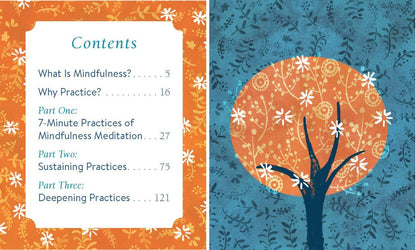 The Mini Book of Mindfulness: Simple Meditation Practices to Help You Live in the Moment (RP Minis)