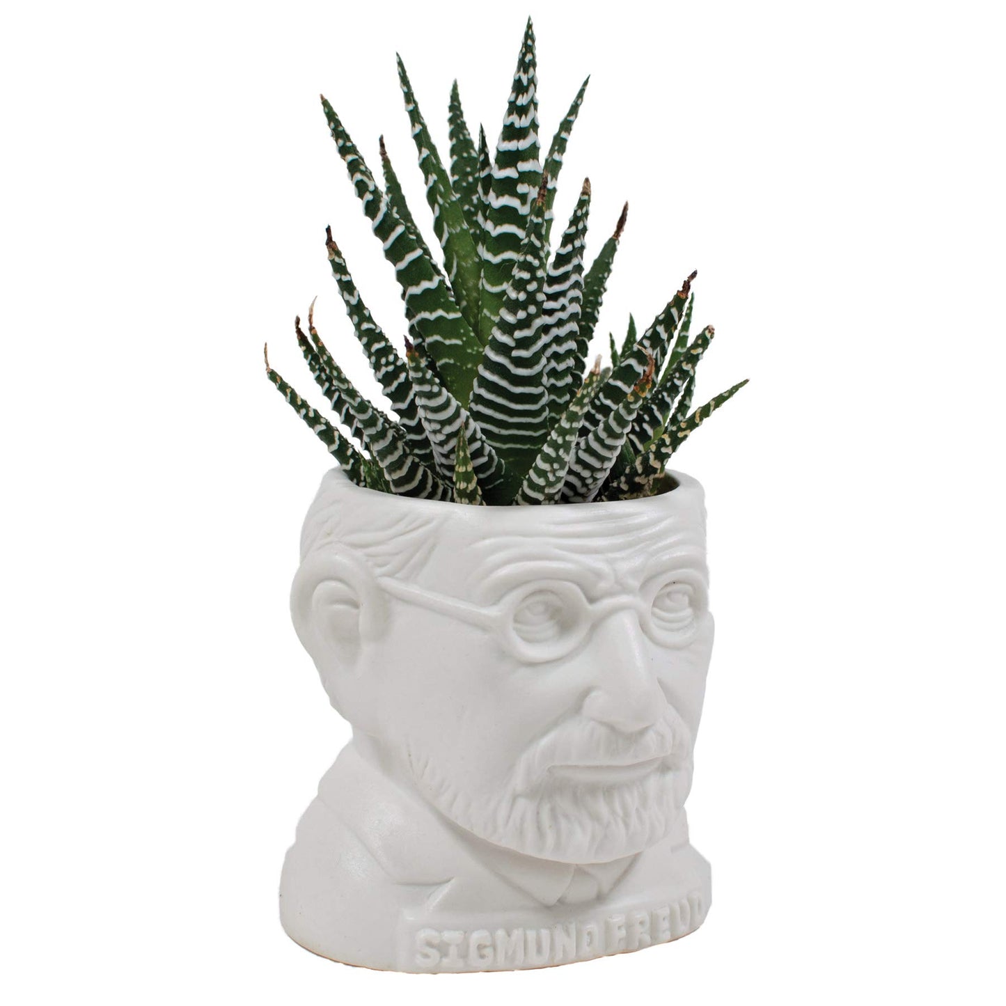 The Unemployed Philosophers Guild Sigmund Freud Bust Ceramic Planter