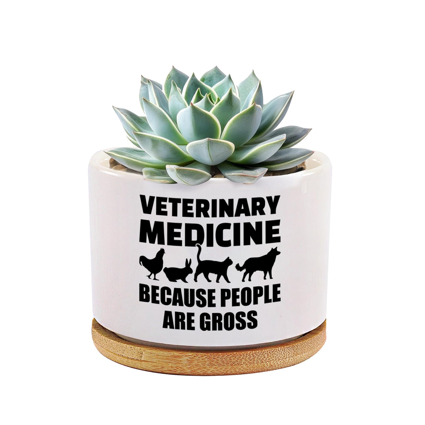 Veterinary Medicine Because People Are Gross Veterinarian Gifts Ceramic Succulent Plant Pot with Bamboo Tray Round Gift To Vet Animal Doctor Pet Lover Home Decor Plant Lover 3.5 Inch White (No Plants)