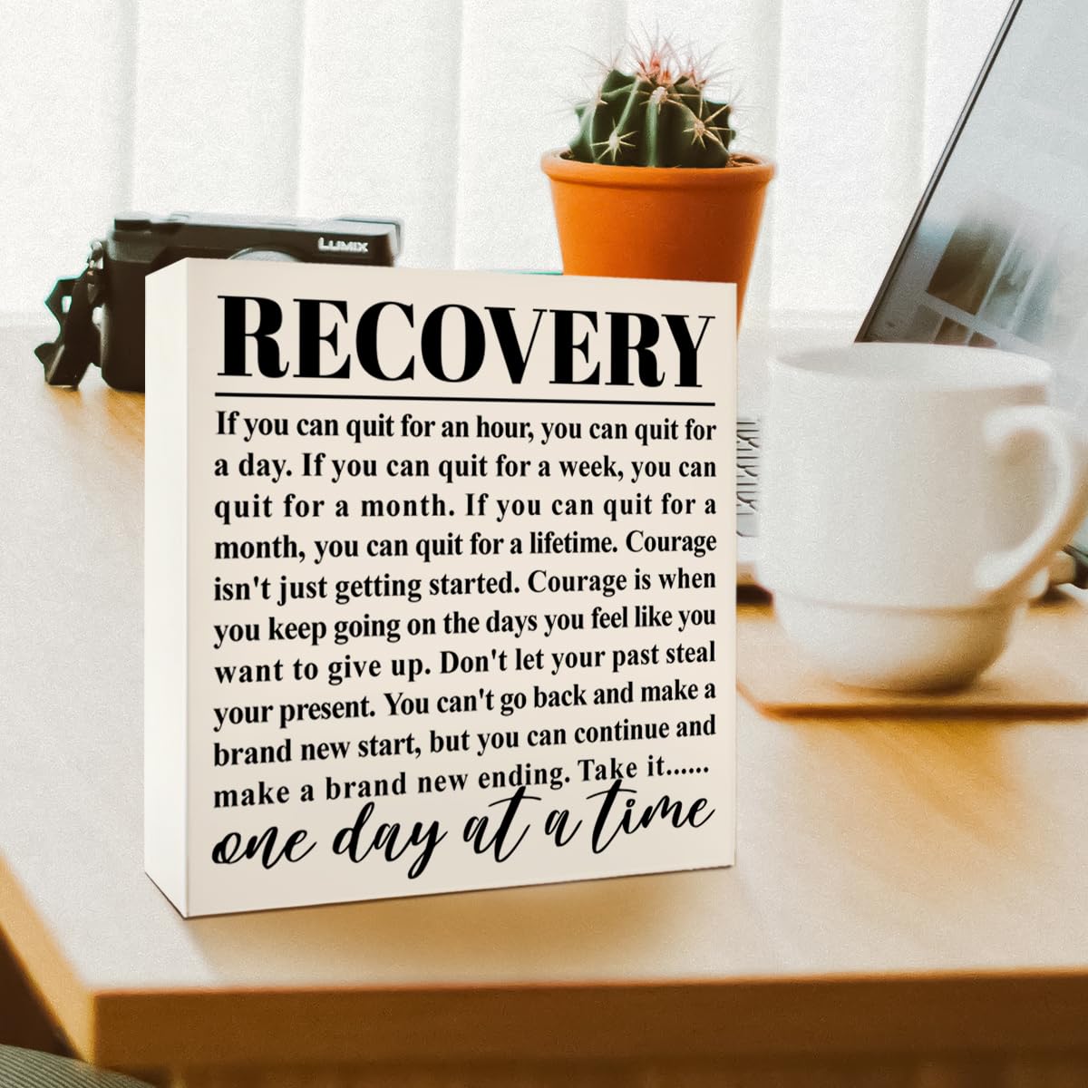 Recovery Gift for Women Men, Sobriety Gift for Dad Mom Son, AA NA Alcoholics Anonymous Gift Addiction Recovery Narcotics Anonymous Gift, One Day at a Time
