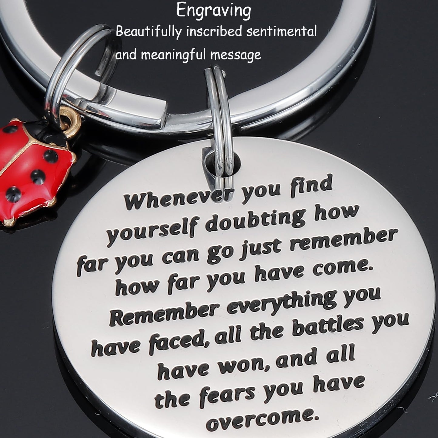 Kivosliviz Ladybug Keychain for Women Men Inspirational Miraculous Lady Bug Birthday Good Luck Jewelry Ladybug Keychains