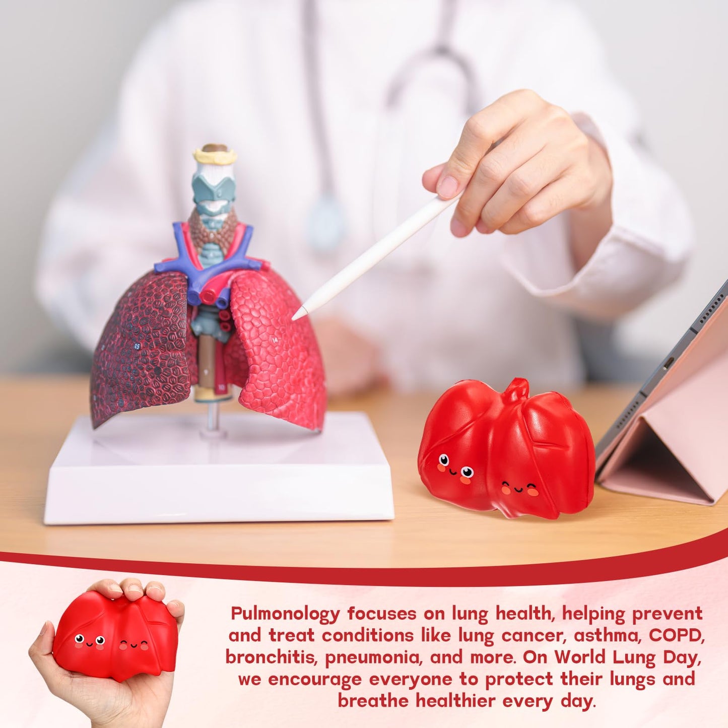 Arrowbash 20 Sets Respiratory Therapist Graduation Gifts Bulk Lung Stress Balls Relief Stress Inspirational Squeeze Balls with Cards for Adults Respiratory Therapy Care Staff Office RT Nursing Work