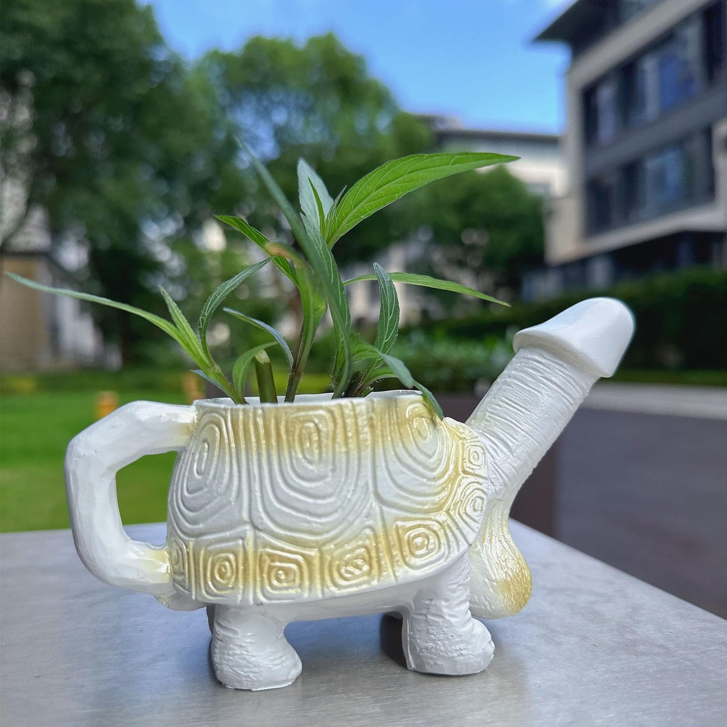 Penis Turtle Planter Turtle Flower Pot Mischievous Joke Gift Indoor and Outdoor Garden Decoration