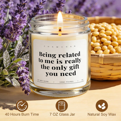 Funny Gifts for Sister Brother, Brothers Birthday Gift from Sisters Meaningful Candles National Siblings Day Gift Idea for Cousin