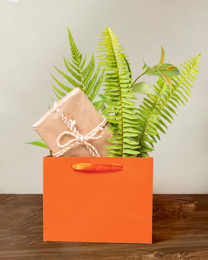 qiqee 5PCS Bright Orange Gift Bags with Ribbon Handles 9.6"x7.9"x4.3" Medium Size Gift Bags (Tissue Paper included, Medium Wide)