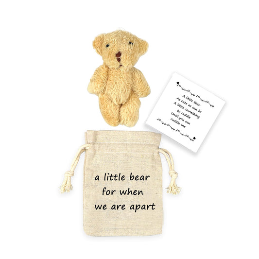 LUOKIFUR Pocket Bear Gift Long Distance Teddy Bear I Love You/Couple Memorial/Missing You Gift (we are Apart)