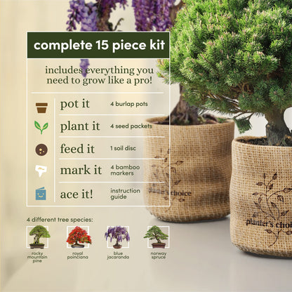 Bonsai Starter Kit - Gardening Birthday Gifts for Women & Men - Bonsai Tree Growing Garden Crafts Hobby Kits for Adults, Unique DIY Hobbies for Plant Lovers - Unusual Gifts Ideas Mom, Her, Friend