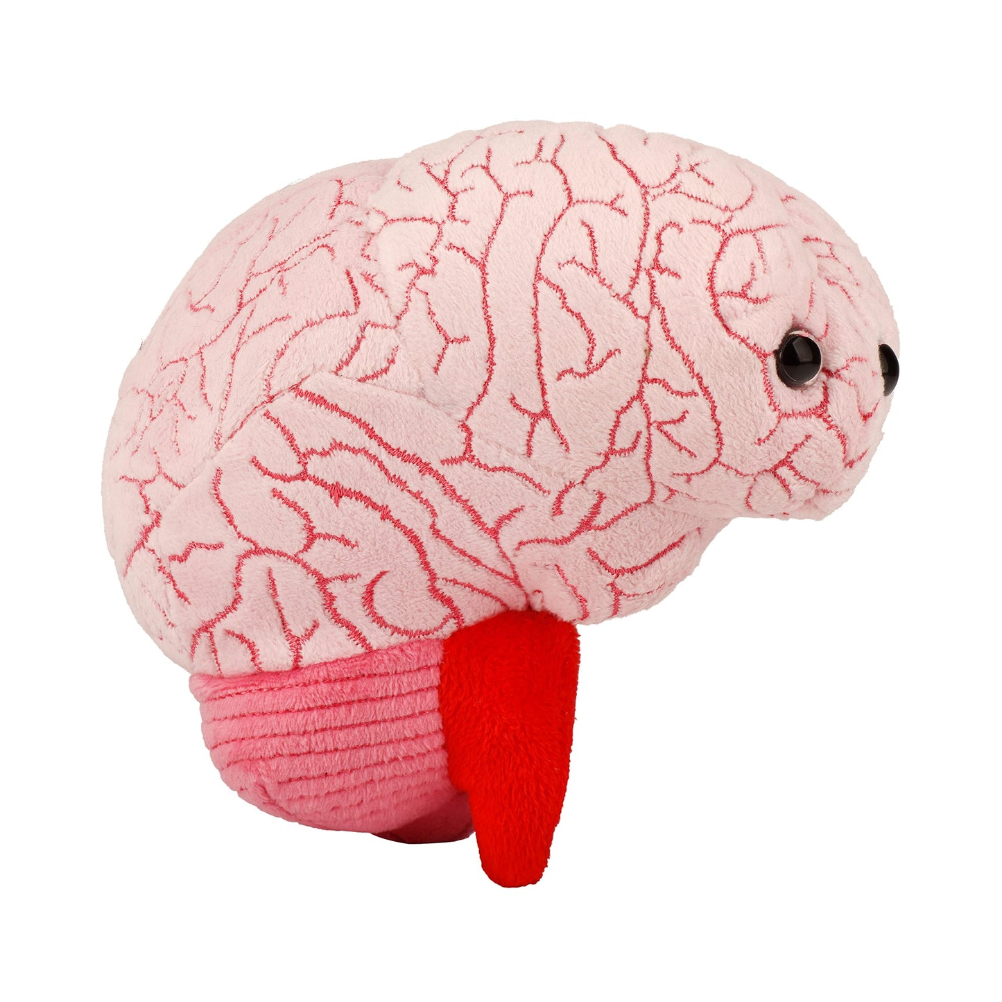 GIANT MICROBES Brain Organ Plush, Brain Model Anatomy, Psychology Gifts for Students, Medical Student Gift, Therapist Office Decor, Anatomy Models, Neuroscience Gifts, Neurology Gift