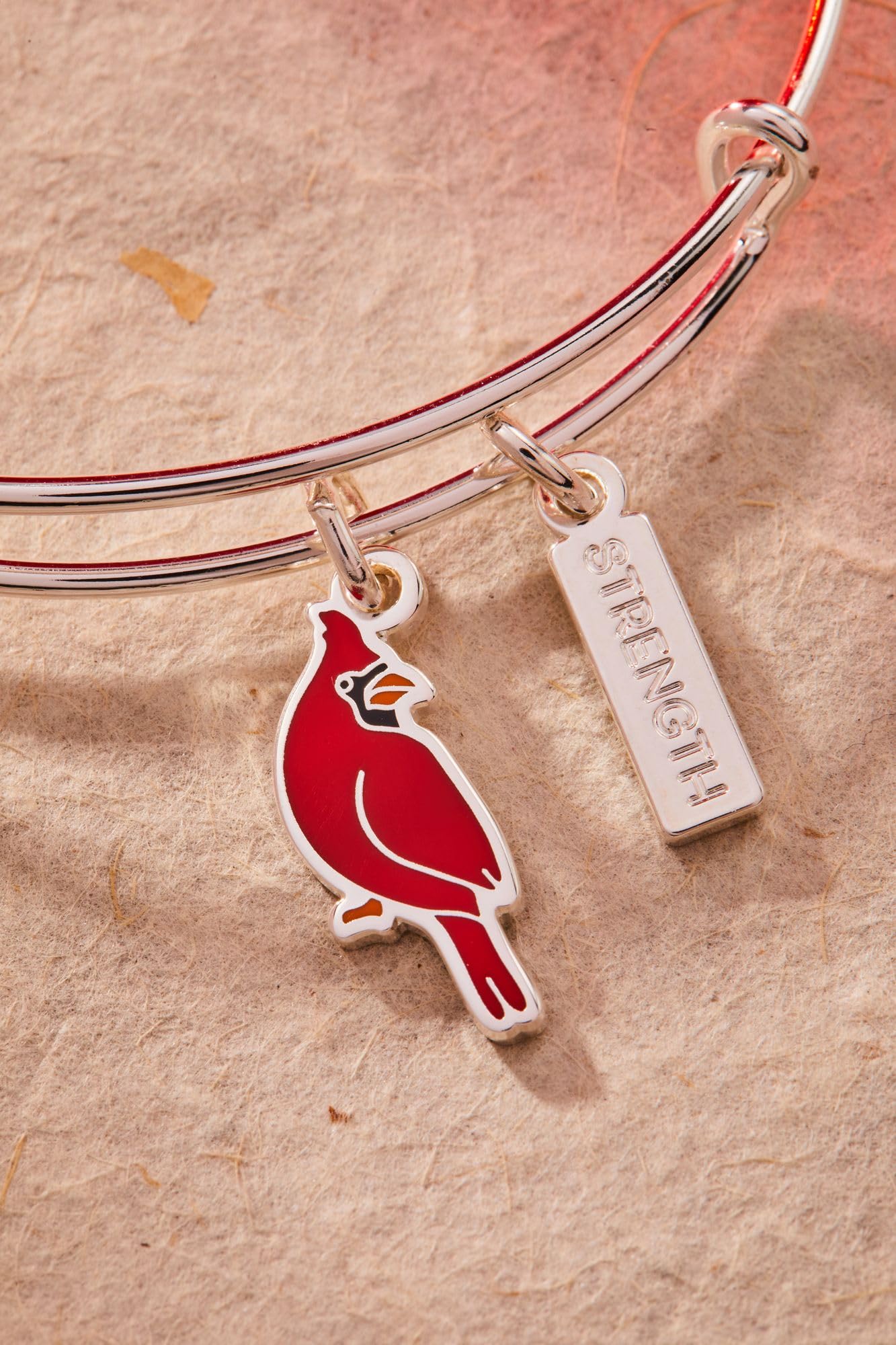 Alex and Ani Strength' Cardinal Duo Charm Bangle Bracelet