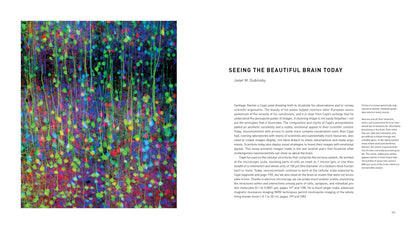 The Beautiful Brain: The Drawings of Santiago Ramon y Cajal