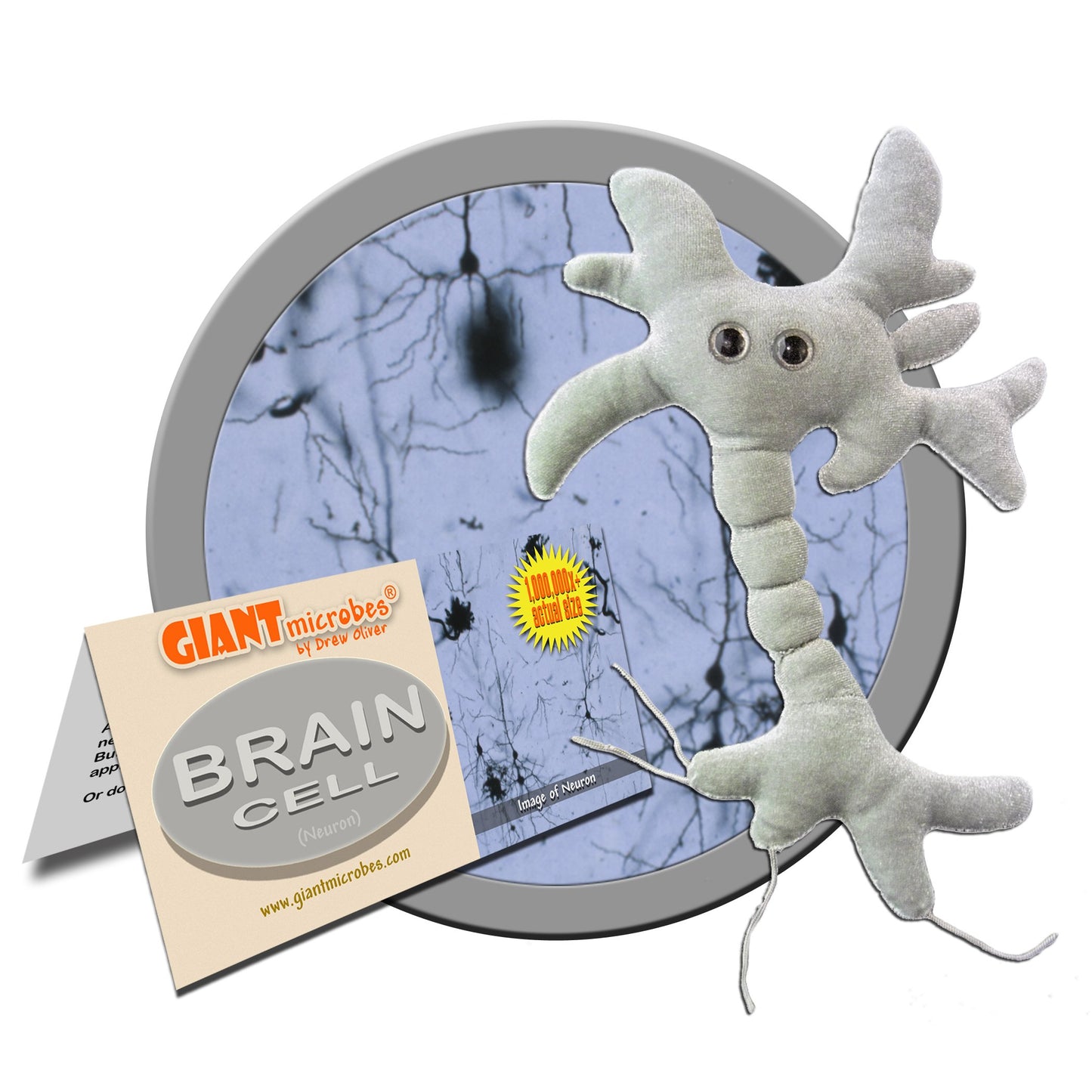 GIANT MICROBES Brain Cell Plush, Neuron Plush, Neuroscience Gift, Neurology, Science Plushies, Neuron Model Anatomy, Psychology Gifts, Psychology Graduation Gifts, Brain, TBI, Mental Health Awareness