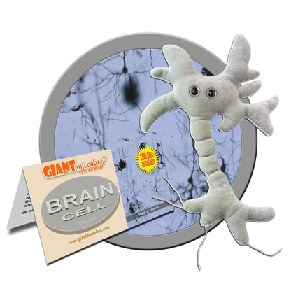 GIANT MICROBES Brain Cell Plush, Neuron Plush, Neuroscience Gift, Neurology, Science Plushies, Neuron Model Anatomy, Psychology Gifts, Psychology Graduation Gifts, Brain, TBI, Mental Health Awareness