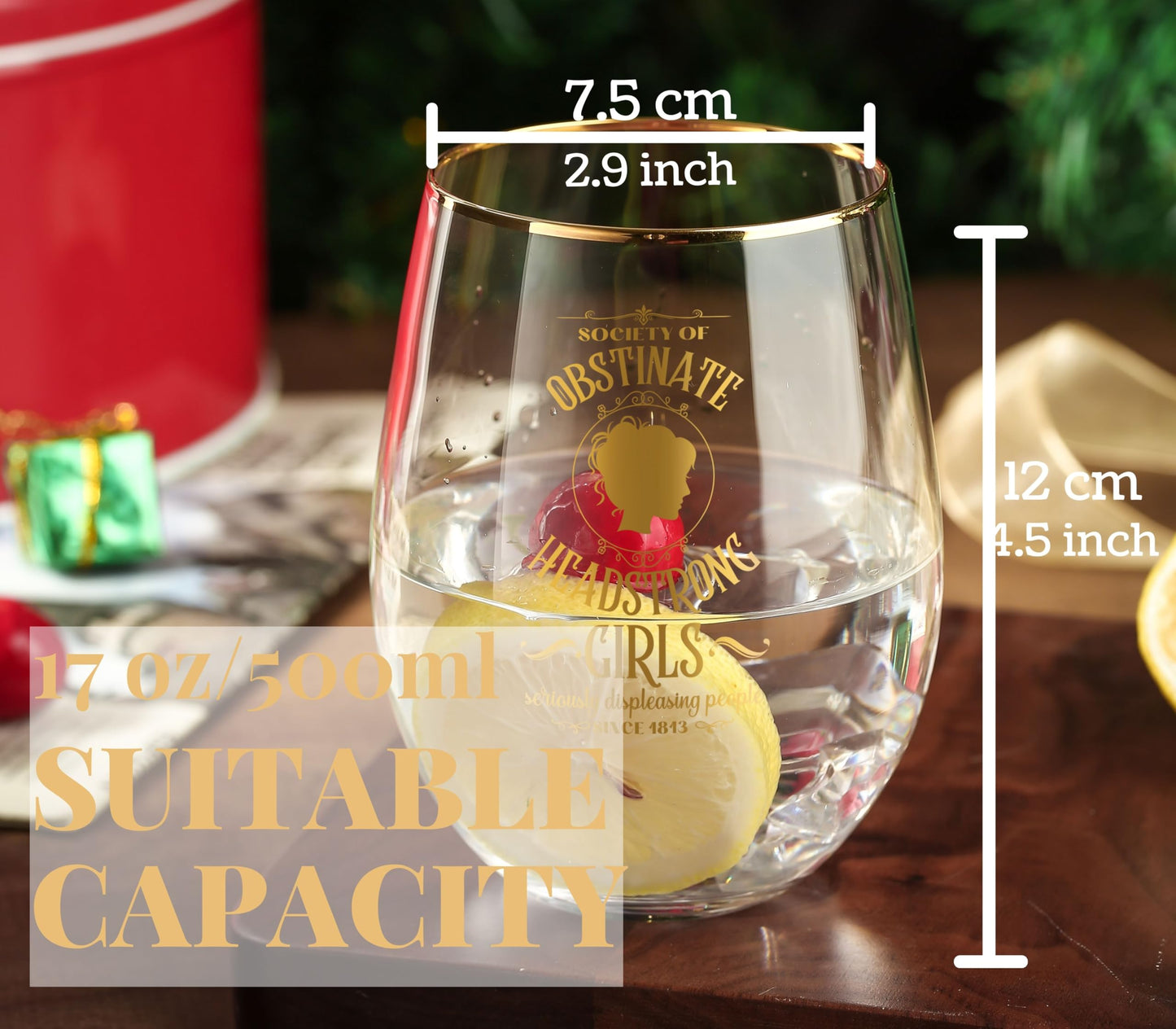 Onebttl Jane Austen Gifts for Women, 18oz Stemless Wine Glasses, Perfect for Pride & Prejudice Book Lovers for Birthday, Christmas