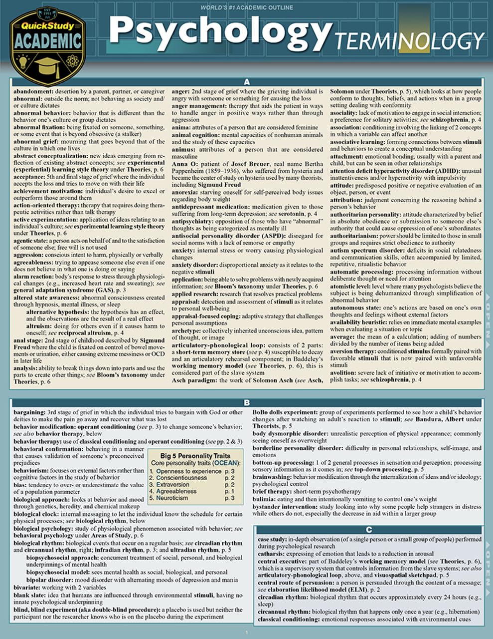Psychology Terminology: a QuickStudy Laminated Reference Guide (Quickstudy Reference Guide)