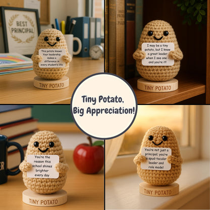 Gift for Principals - Tiny Potato with 30 Swappable Appreciation Signs - Funny Principal Gifts for Women Men for Birthday, School End of Year Appreciation, Thank You, New Job, Promotion, Retirement