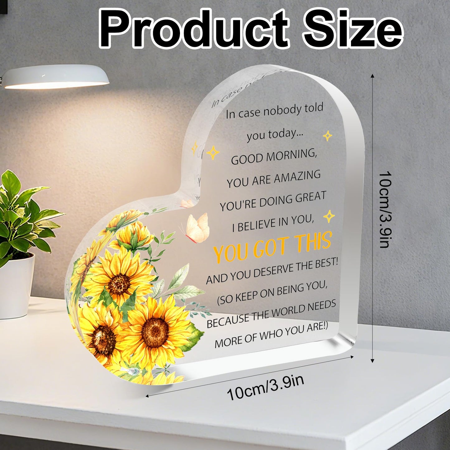 Inspirational Gifts for Women Motivational Acrylic Block Friends Besties Daughter Sister Birthday Christmas Heart Office Desk Sign Accessories Tabletop Decorative Sign Stocking Stuffers