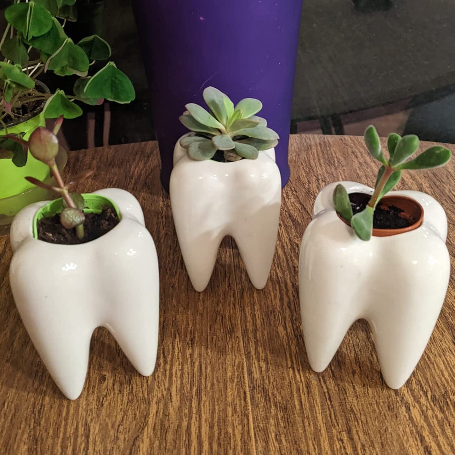 YOFIT Dental Assistant Appreciation Gifts – 4 Pack Ceramic Tooth Planter, Dental Hygienist Gifts Office Decor, Dentist Gift for Coworkers Women Student, White Succulent Flower Pot, 3.7"