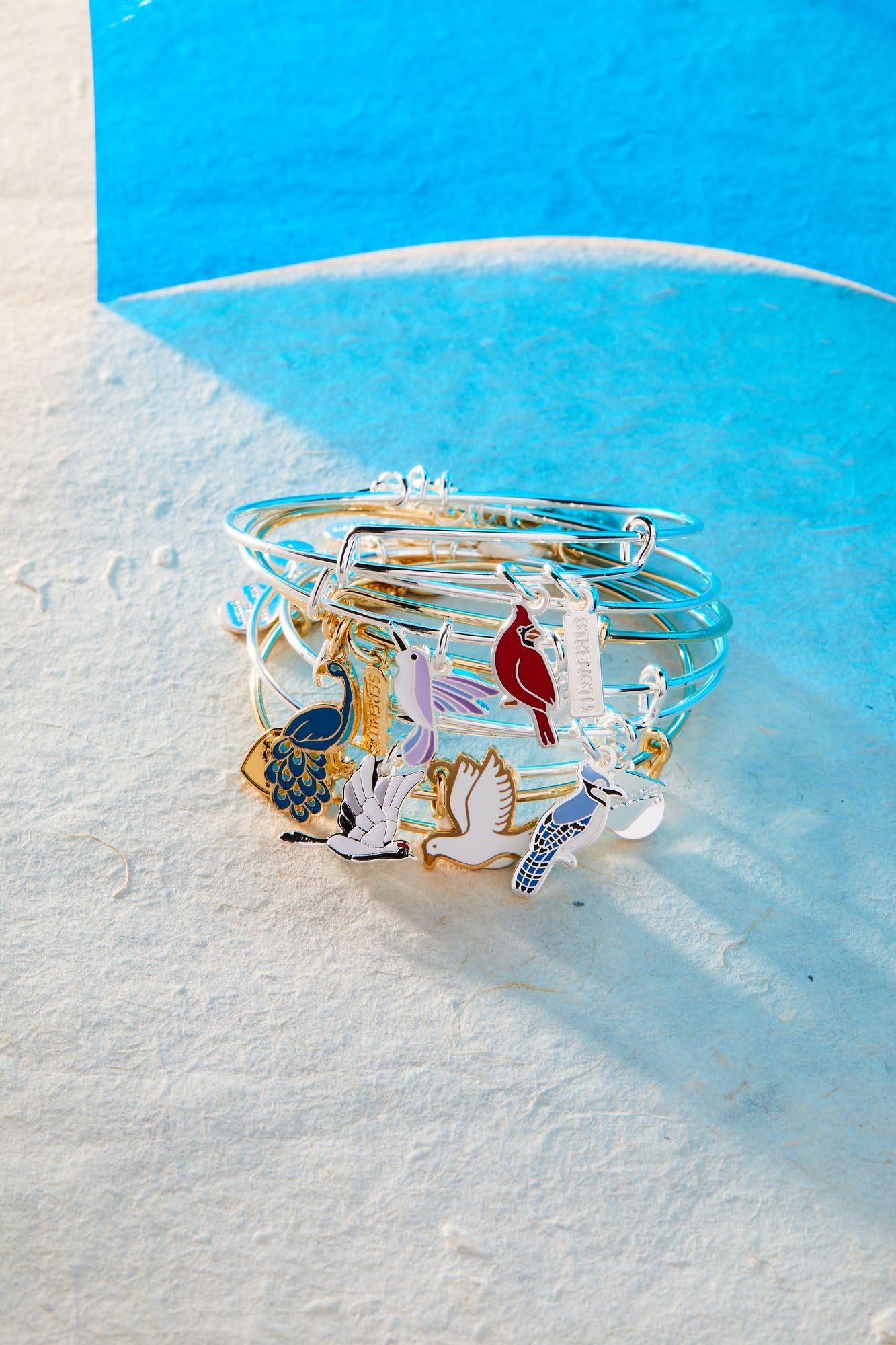 Alex and Ani Strength' Cardinal Duo Charm Bangle Bracelet