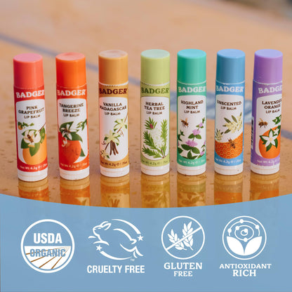 Badger Classic Organic Lip Balm Set - Yellow Box, Light Silky Long Lasting Lip Moisturizer Gift Set, All Natural Lip Balm Variety Pack Lip Set (Tangerine, Lavender Orange, Vanilla, Grapefruit), 4 pack