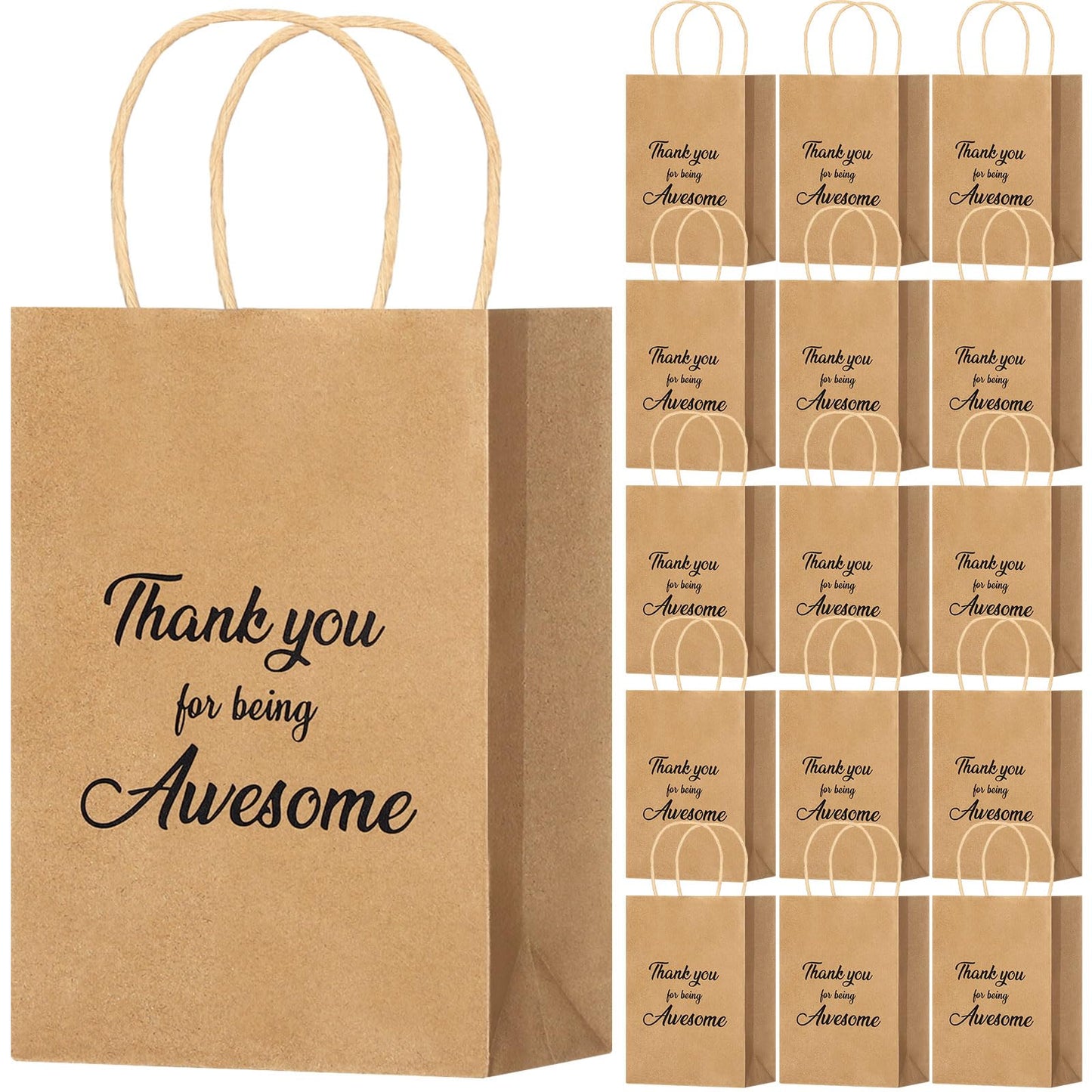 Qilery 18 Pcs Thank You Gift Paper Bags Bulk with Handles for Employee Coworker Colleague Volunteer Teacher Nurse, Appreciation Thank You for Being Awesome Kraft Gift Bags, 5.9 x 3.1 x 8.3 Inches