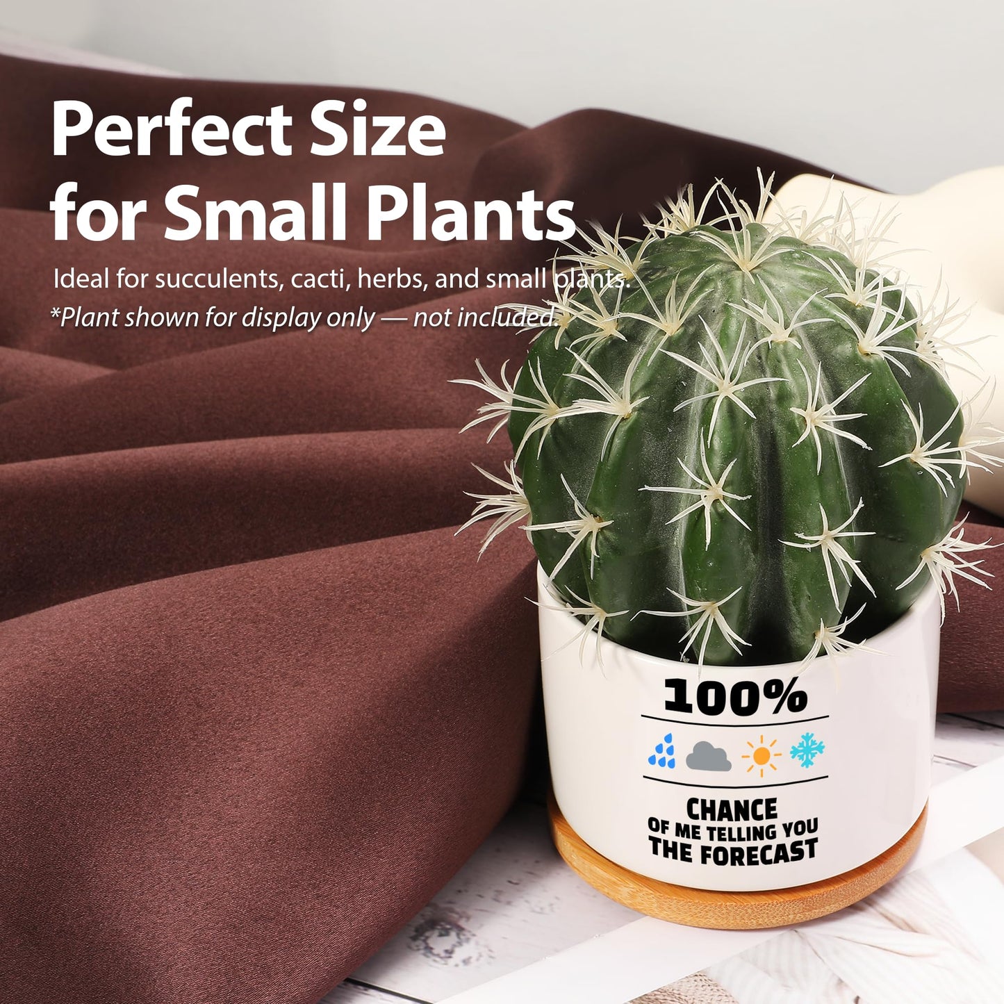 100 Percent Chance of Me Telling You The Forecast Meteorologist Gifts Weatherman Meteorology Weather Ceramic Succulent Plant Pot with Bamboo Tray Home Office Decor 3.5 Inch White (No Plants)