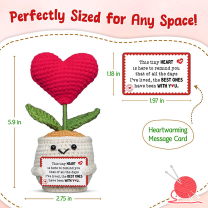 OASSIE Anniversary Couple Gifts for Women Men - Heart Flower Pot Crochet - Romantic Anniversary Wedding Mothers Day Birthday Gifts for Wife Husband Him Her Boyfriend Girlfriend Couple