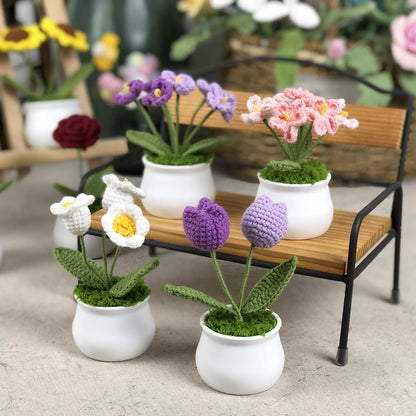 Joekaran Crochet Flowers Cute Flower for Her, Graduation Birthday Gifts for Women and Teacher, Mother, Coworkers, Valentines, Christmas, Desk Decor,Home Office Decoration(Pink Gradient Myosotis)