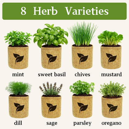 Indoor Herb Garden Start Kit - Unique Gifts for Women, Mothers Day Gifts, Easy House Plant- Birthday for Women,House Warming Gift New Home- Fresh Herb Garden DIY Crafts for Adults