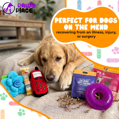 Get Well Soon Dog Gifts, Dog Care Package, Puppy Gift Basket with 3 Dog Treats and 4 Toys, Adorable Puppy Gift Basket, Pet Care Package
