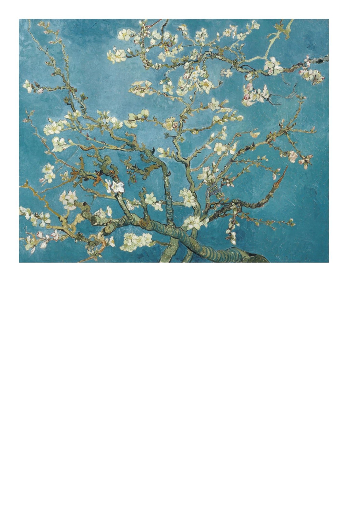 Vincent van Gogh: 50 Masterpieces Explored