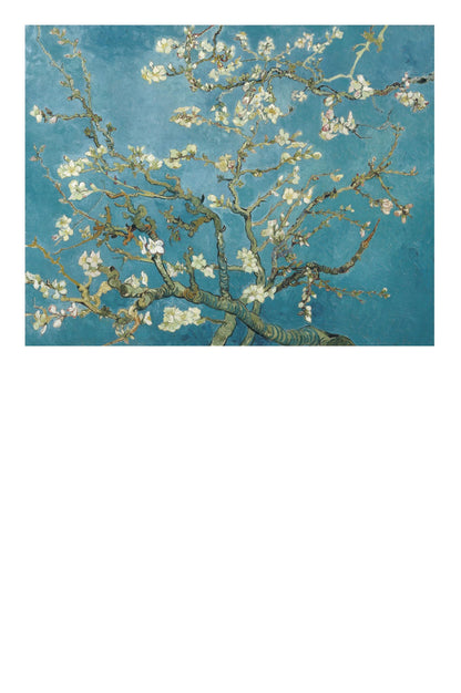 Vincent van Gogh: 50 Masterpieces Explored