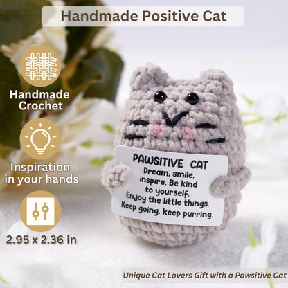 Fun Cat Lover Gifts for Women, Premium Cats Themed Gifts Set with Borosilicate Glass Cup Crochet Doll & Socks, Crazy Cats Lady Gift Basket for Birthday & Christmass, Cat Mom Gifts Box for Women
