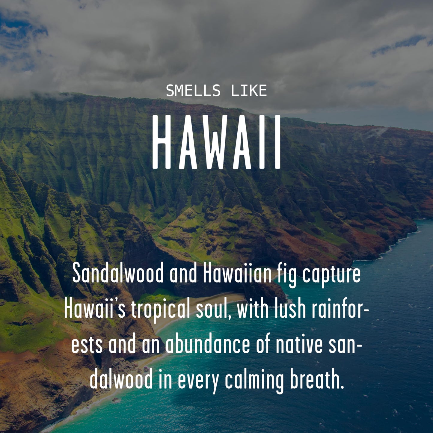 Hawaii Gifts, Hawaii Decor for Home - 'There's No Place Like HawaiiCandle, w/Tropical Fig & Native Sandalwood I Hawaii Souvenirs I Hawaii State Gifts I 9oz Jar, 50Hr Burn, USA Made