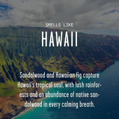Hawaii Gifts, Hawaii Decor for Home - 'There's No Place Like HawaiiCandle, w/Tropical Fig & Native Sandalwood I Hawaii Souvenirs I Hawaii State Gifts I 9oz Jar, 50Hr Burn, USA Made