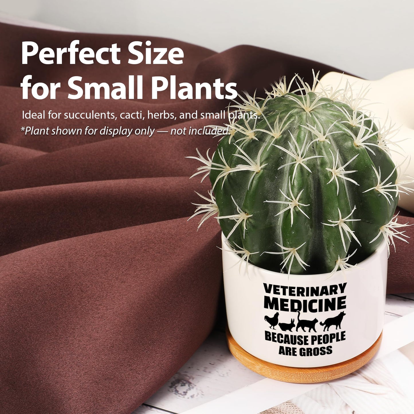 Veterinary Medicine Because People Are Gross Veterinarian Gifts Ceramic Succulent Plant Pot with Bamboo Tray Round Gift To Vet Animal Doctor Pet Lover Home Decor Plant Lover 3.5 Inch White (No Plants)