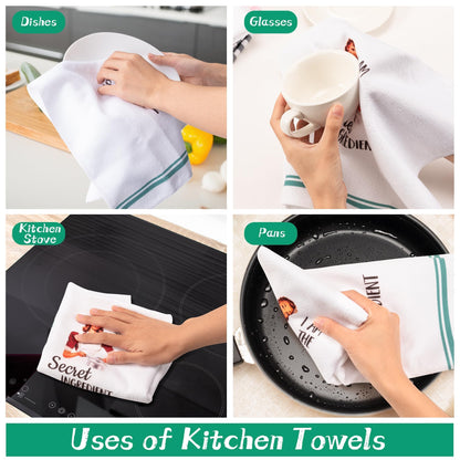 R HORSE 5Pcs Funny Kitchen Dish Towels, Funny Joked Themed Kitchen Dishcloth Absorbent Retro Sassy Lady Cleaning Dishcloth Bar Hilarious Hand Towel Gifts for Hostess Mom Women Housewarming