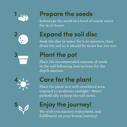 Bonsai Starter Kit - Gardening Birthday Gifts for Women & Men - Bonsai Tree Growing Garden Crafts Hobby Kits for Adults, Unique DIY Hobbies for Plant Lovers - Unusual Gifts Ideas Mom, Her, Friend
