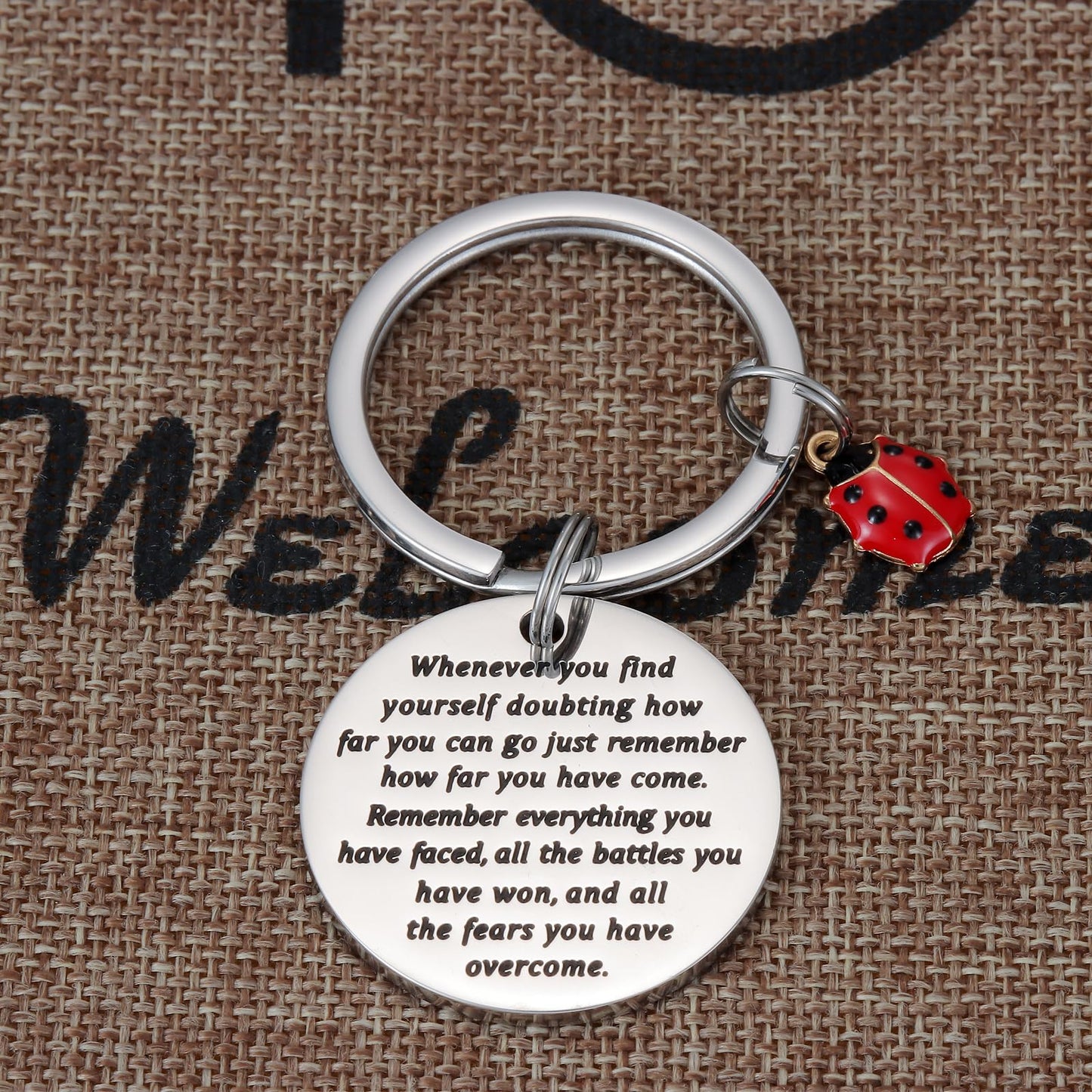 Kivosliviz Ladybug Keychain for Women Men Inspirational Miraculous Lady Bug Birthday Good Luck Jewelry Ladybug Keychains