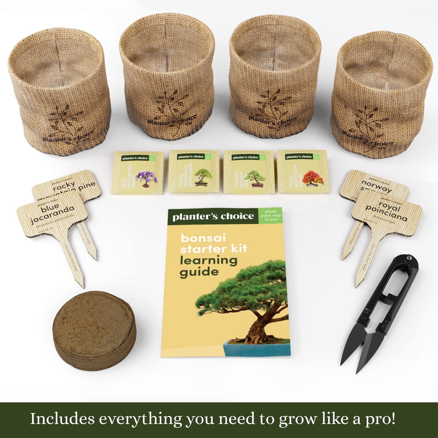 Bonsai Starter Kit - Gardening Birthday Gifts for Women & Men - Bonsai Tree Growing Garden Crafts Hobby Kits for Adults, Unique DIY Hobbies for Plant Lovers - Unusual Gifts Ideas Mom, Her, Friend