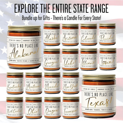 Michigan Gifts, Michigan Decor for Home - 'There's No Place Like Michigan Candle, w/Hot Apple Cider I Michigan Souvenirs I Michigan State Gifts I 9oz Jar, 50Hr Burn, USA Made