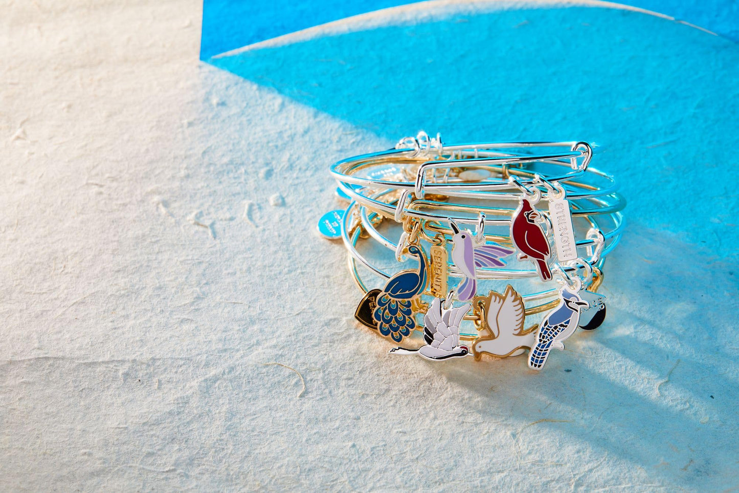 Alex and Ani Strength' Cardinal Duo Charm Bangle Bracelet