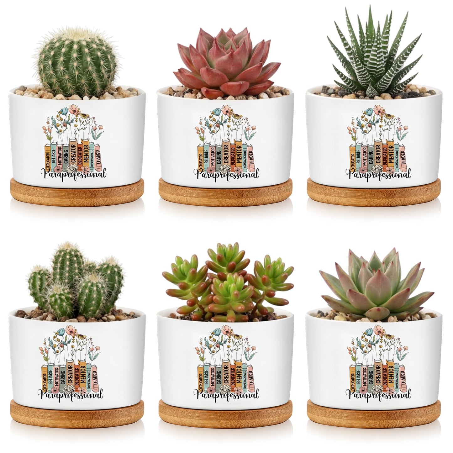 Havawish 6 Pcs Paraprofessional Appreciation Gifts, para Teacher Appreciation Gifts, Ceramic Succulent Planter Pots Mini Porcelain Plant Containers for Nurse Birthday Graduation, Plants Excluded