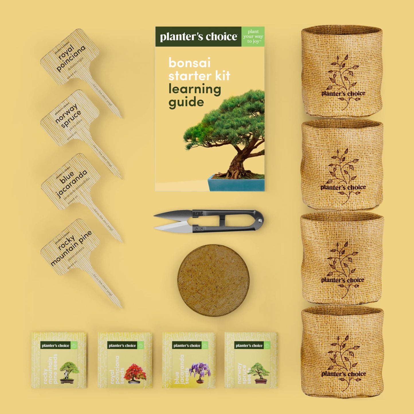 Bonsai Starter Kit - Gardening Birthday Gifts for Women & Men - Bonsai Tree Growing Garden Crafts Hobby Kits for Adults, Unique DIY Hobbies for Plant Lovers - Unusual Gifts Ideas Mom, Her, Friend