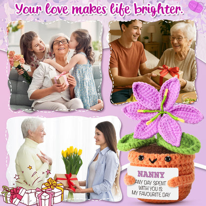 Gifts for Nanny from Granddaughter, Grandson - Sentimental Crochet Flower with Heartfelt Message - Unique Mothers Day, Birthday, for Grandma - Cute Keepsake & Home Décor