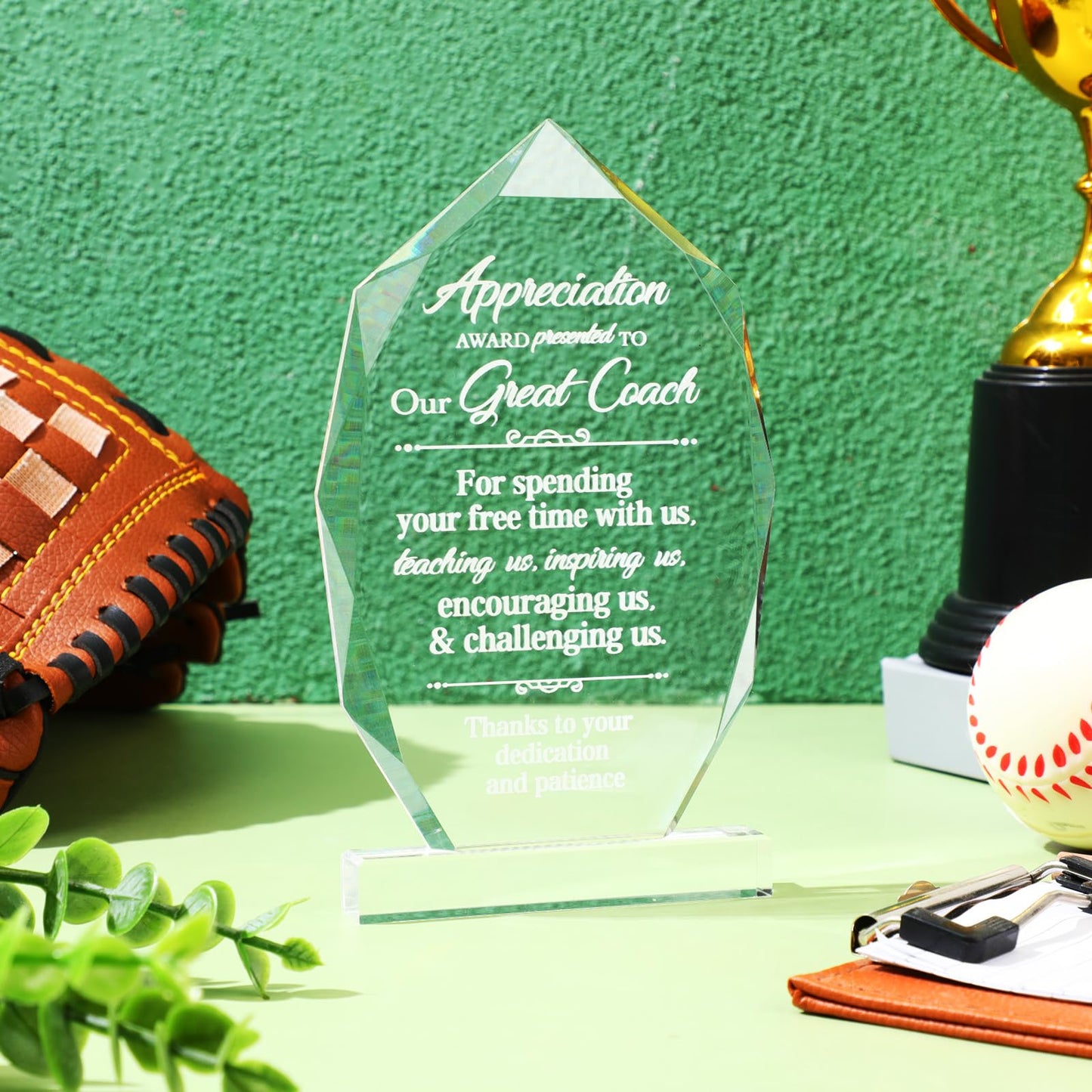 Panelee Coach Appreciation Gift Acrylic Coach Thank You Gifts Inspirational Appreciation Decor Acrylic Table Sign for Women Men Home Office Baseball Soccer Football Volleyball Team Gift