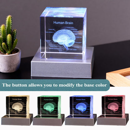 3D Human Brain Anatomy Model, Doctor Psychology Gifts, K9 2.4 Inch Etched Crystal Cube Lamp with Battery Powered, Brain Figure Paperweight Science Biology Graduation Teacher Appreciation Gifts